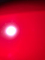 CD02762C-F9EA-465D-9C48-F48582C10517.jpeg CD02762C-F9EA-465D-9C48-F48582C10517.jpeg