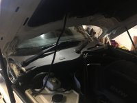 CAB03BE7-4FED-4D98-9B62-C25116F77942.jpeg