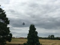 69B53F6A-9FC9-40AD-B04C-CAA40287B6F0.jpeg