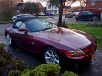 z42020.jpg