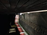 CFE76151-17D9-4156-BE56-2A8358F03B88.jpeg