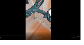 z4 waterleak.png