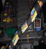 IMG_7289.jpeg