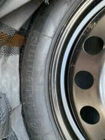 IMG_2049.jpeg