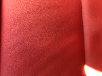 IMG_7929.jpeg
