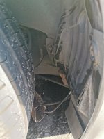 IMG_20200306_092635.jpg