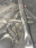 thumbnail_IMG_3960.jpg