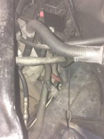 thumbnail_IMG_3959.jpg