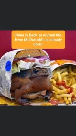 CC7B53B1-5E00-4ECA-BAF8-A0E5D9906EB3.jpeg