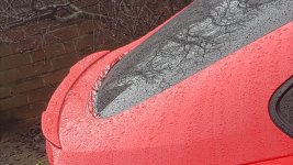 IMG_20200401_120535.jpg