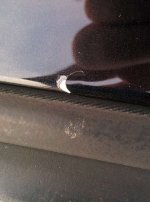 IMG_20161105_160826.jpg