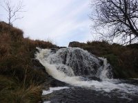 DSCN3473.JPG