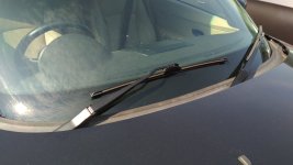 IMG_20200408_144006.jpg