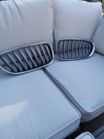 IMG_20200502_160114.jpg