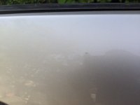IMG_20200424_162603.jpg