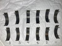 AEA9A52F-E034-44D6-ABF5-CDAC49BA9070.jpeg AEA9A52F-E034-44D6-ABF5-CDAC49BA9070.jpeg