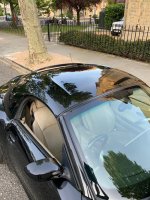 IMG_1316.jpeg