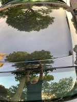 IMG_1319.jpeg