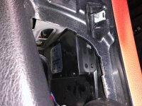 IMG_9006.jpeg