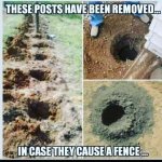F452166F-843B-4A5A-AC79-99BC9D2D63F5.jpeg
