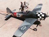 FW109 & Tag.jpg