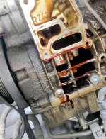 IMG_1975[1].JPG