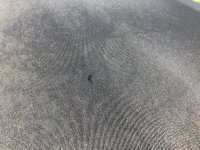 Roof Pic 1.jpg