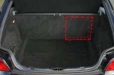 trunk.JPG trunk.JPG