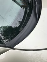 IMG_2048.jpeg IMG_2048.jpeg