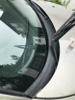 IMG_2047.jpeg IMG_2047.jpeg
