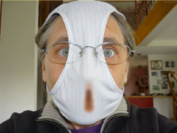 face mask 1.png