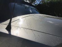 IMG_2062.jpeg IMG_2062.jpeg