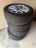IMG_7450.jpeg