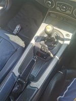IMG_20200722_135254.jpg