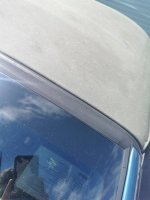 IMG_20200722_135446.jpg
