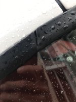 830570E8-E46F-4E3F-8147-007A0C490D03.jpeg