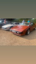 4DB4D347-3417-4AB6-BC61-C0C90DCDC08E.jpeg