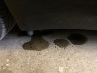 IMG_0264.jpeg