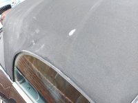 20200817_142258.jpg