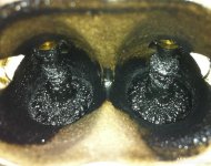 Carbon_deposit_or_not2.jpg
