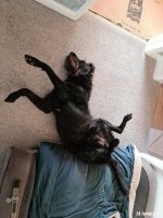 20200902_070119.jpg