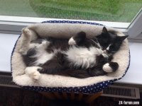 95364B31-5DED-405C-AE3C-6C14E125751C.jpeg