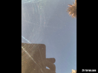 IMG_2683.PNG
