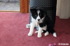 IMG_2265.JPG