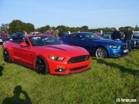 Late Mustang.JPG
