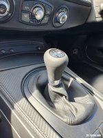 ZHP stick.jpg
