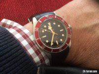 8484940A-BE29-409D-80F4-3716B2FF1AD9.jpeg