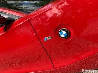 IMG_6719.jpg