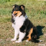 ADF133EC-3D95-401B-90AD-E136EAA59E52.jpeg
