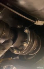 input seals.jpg input seals.jpg